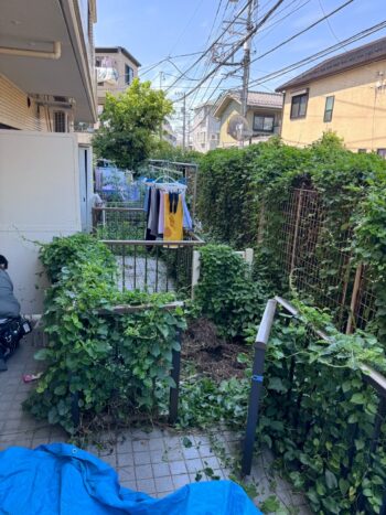 東京都 草刈り